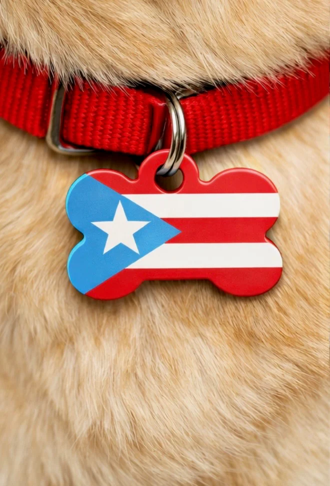 Boricua Bark Box  | Puerto Rican Dog Toy Gift Set - Image 3