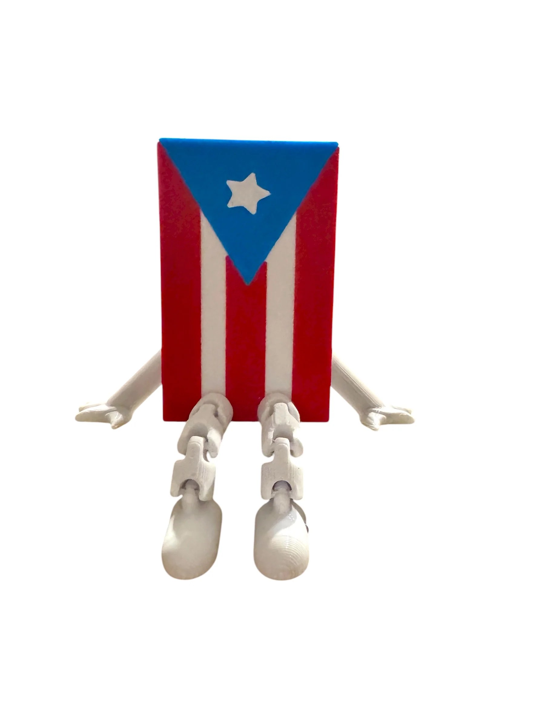 Puerto Rico Buddy Packs | Puerto Rican Cute Collectible | Boricua Gift & Desk Buddy - Image 9